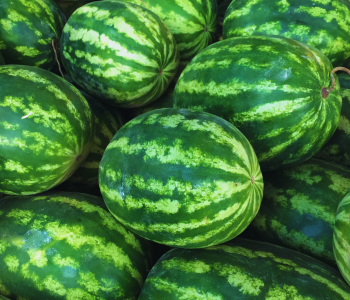watermelon